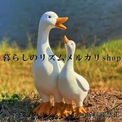 アヒル オブジェ 置物 ガーデンオブジェ バードフィギュア 鳥の置物 ガーデンデコレーション 植木鉢装飾 バルコニー インテリア雑貨 アンティーク風 アニマルオブジェ 卓上置物 屋外 庭 園芸オーナメント ミニチュア風景 癒し系 ガーデニング雑貨のサムネイル