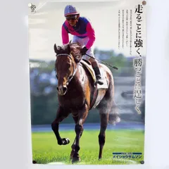 2026年最新】JRAヒーロー列伝ポスターの人気アイテム - メルカリ
