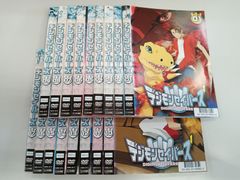 ポケットモンスター アドバンスジェネレーション2004〜2006 DVD 49巻