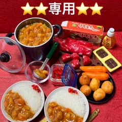 410カレーライスセット⭐️ミニチュアフード ドールハウスおもちゃ