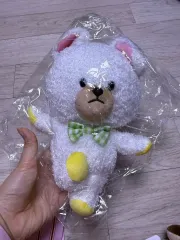 ベアスクール ジャッキー デイビッド スタンダード ぬいぐるみ 25cm