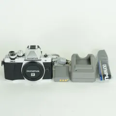 2026年最新】Olympus OM-D E-M10 Mark III ボディの人気アイテム