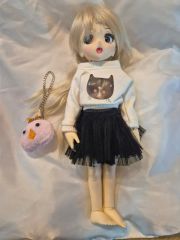 樹脂粘土フェイス＆オビツ11ボディDOLL - メルカリ