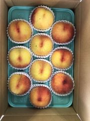 satomion　岡山産　白桃　冬桃　18玉 satomion様 専用 岡山産 白桃 冬桃 18玉 - メルカリ