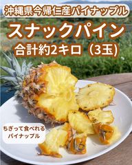 甘い樹実り完熟スナックパイン2種❣️生産量日本一の東村の