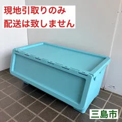 【配送不可、現地引取のみ、リユース品】カインズ　インテリアキャリコ　Lサイズ　ブルーのサムネイル