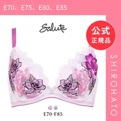 【新品】ワコール Wacoal サルート Salute 24SS 06G BTJ206 小さく見せるブラ EF ブラジャー フルカップ 単品 シーズン(E70、E75、E80、E85)のサムネイル