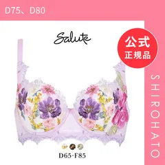 【新品】ワコール Wacoal サルート Salute 23AW 93G BTJ293 L-UP ブラジャー DEF リフトアップ デコルテ 盛り 谷間 単品 フェア(D75、D80)のサムネイル