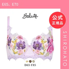 【新品】ワコール Wacoal サルート Salute 23AW 93G BTJ293 L-UP ブラジャー DEF リフトアップ デコルテ 盛り 谷間 単品 フェア(E65、E70)のサムネイル