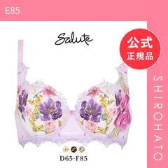 【新品】ワコール Wacoal サルート Salute 23AW 93G BTJ293 L-UP ブラジャー DEF リフトアップ デコルテ 盛り 谷間 単品 フェア(E85)のサムネイル