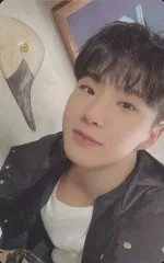 【中古】コレクションカード(男性) SEVENTEEN/HOSHI(ホシ)/CD「FML」(Weverse Albums ver.)封入特典セルフィーフォトカード