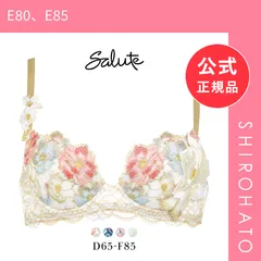 【新品】ワコール Wacoal サルート Salute 24SS 03G BTJ403 P-UP ブラジャー DEF プッシュアップ 単品 谷間 フェア(E80、E85)のサムネイル