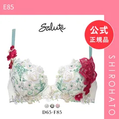 【新品】ワコール サルート 16グループ 16G P-UP ブラジャー プッシュアップ DEF 谷間 大きいサイズ Wacoal Salute BTJ416 25SSシーズン(E85)のサムネイル