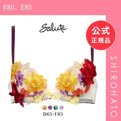 【新品】ワコール Wacoal サルート Salute 30G P-UP ブラジャー DEF プッシュアップ 谷間 下着 単品 大きいサイズ BTJ430 24AW フェア(E80、E85)のサムネイル
