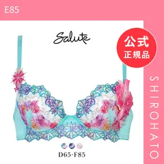 【新品】ワコール サルート 50グループ 50G P-UP ブラジャー DEF プッシュアップ 谷間 Wacoal Salute BTJ450 25SS先行コア(E85)のサムネイル
