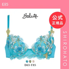 【新品】ワコール Wacoal サルート Salute 22AW先行コア 71G BTJ471 BTJ771 P-UP ブラジャー DEF プッシュアップ 単品(E85)のサムネイル