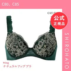 【新品】ワコール Wacoal ウイング Wing KB2062 ナチュラルアップブラ ブラジャー CD 単品(C80、C85)