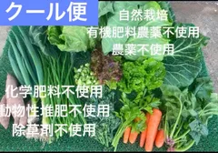 【クール便】自然栽培　固定種　在来種　野菜詰め合わせ　こだわり野菜畑のサムネイル