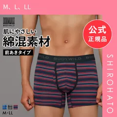 【メール便】【新品】グンゼ BODY WILD ボーダー柄 ボクサーパンツ メンズ 綿混 前あき GUNZE ボディワイルド(M、L、LL)