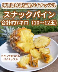 小玉だけど超甘い！スナックパイン小玉 10kg（26〜31玉） - メルカリ