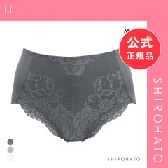 【メール便】【新品】ソフト補正 お腹とヒップをととのえるショーツ ノーマルショーツ M L LL 3L はみ肉解決 大きいサイズ ソフトタッチ スタンダード(LL)のサムネイル