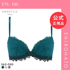 【新品】アモスタイル AMST1523 チャーミングラマー スリムライン フェアリークチュール 3/4カップブラジャー EFG AMOSTYLE 大きいサイズ(E75、E80)