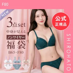 【新品】選べる6タイプ ノンワイヤー ブラジャー ショーツ 3点セット 刺繍レース＆ワントーンレース 福袋 アンダー80 下着 レディース 大きいサイズ(F80)