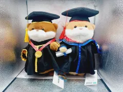 まとめ売り) ウール颯颯ちゃん 卒業衣装 2種 27cm