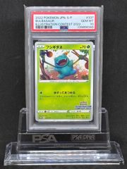 PSA10フシギダネ プロモ イラストレーションコンテスト2022 - メルカリ