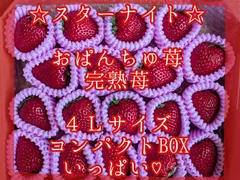 YAYO様専用クール便♡スターナイト２箱♡