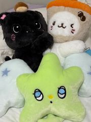 NCT WISH リョウ キャラクターバッグ ぬいぐるみ大 ソウルコン - メルカリ