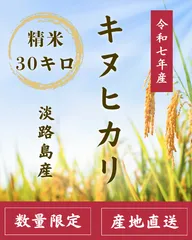 【100個限定‼️】新米 令和7年産 キヌヒカリ 精米30キロ 淡路島産 産地直送 送料込み　お米　送料無料 30kgのサムネイル