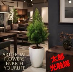光触媒 観葉植物 ウォールグリーン フェイクグリーン ゴールドクレスト