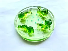 ハンドメイド　レジン製小物入れ　カエル