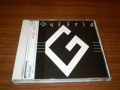 残酷な天使のテーゼ LP カラーヴァイナル 初回限定盤 アナログ