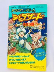 ドキドキプリティリーグ 熱血乙女青春記 スコアブック 攻略本 ガイド