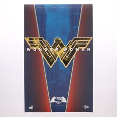 ムービー・マスターピース ワンダーウーマン バットマン vs スーパーマン ジャスティスの誕生 1/6 完成品 可動フィギュア(MM#359) ホットトイズ ムービー・マスターピース ワンダーウーマン バットマン vs スーパー