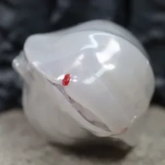 いきもの大図鑑 フチゾリネッタイ コシビロダンゴムシ (アルビノクリアホワイト) フィギュアのサムネイル