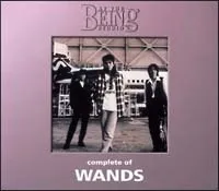 2026年最新】complete of wands at the being studioの人気アイテム