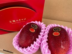 4個 宮崎県産 太陽のタマゴ 4Lサイズ 2玉入り化粧箱 × 2 （合計4個
