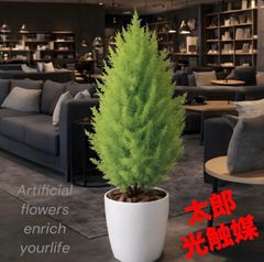 光触媒　観葉植物　ウォールグリーン　フェイクグリーン　ゴールドクレストツリー11 光触媒 観葉植物 ウォールグリーン フェイクグリーン ゴールドクレスト