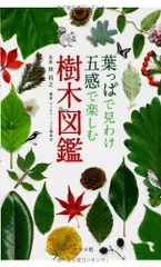 葉っぱで見わけ五感で楽しむ 樹木図鑑／ネイチャー・プロ編集室のサムネイル