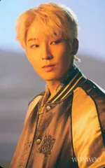 SEVENTEEN HMV WONWOO FACE THE SUN