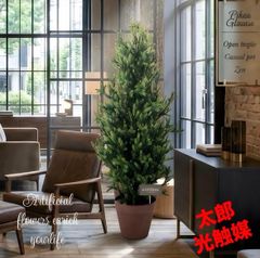光触媒 人工観葉植物 ウォールグリーン フェイクグリーン クレスト 