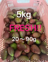 摘果マンゴー 6kg 20〜150g - メルカリ