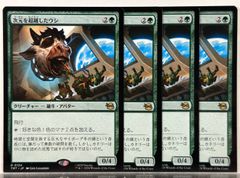 MTG 手付かずの領土 XLN 日本語 FOIL 4枚セット - メルカリ