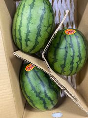 農家直送❗️熊本県産大玉スイカ羅王ザスイート - メルカリ