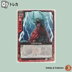 聡明な銀シルバーフォックス B02-002 Z/X ゼクス ( #15206 ) - メルカリ