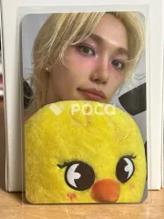 straykids フィリックス スキズ World Tour dominATE : celebrATE 購入特典