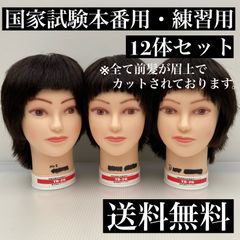 国家試験中古カットウィッグ12体セット カットマネキン 匿名配送